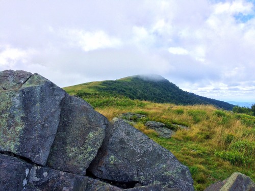 blazingyeti:Quick Day Hike. Roan Highlands, Hump Mnt.