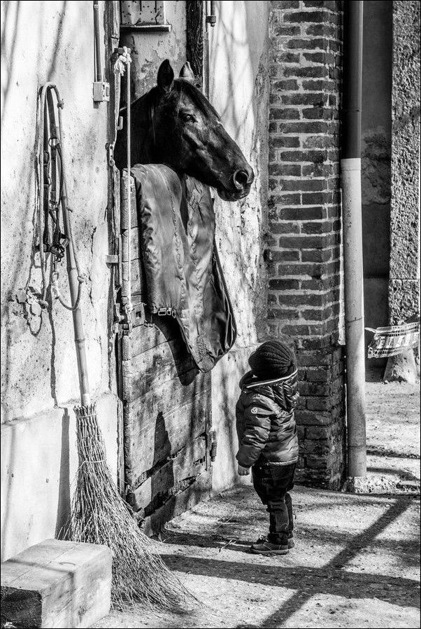 maya47000:  The horse whisperer by Enrico Tita Frigerio 