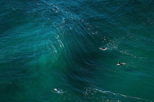 wavesurf