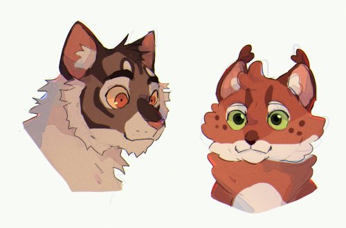 For your troubles, some canon warrior cats art