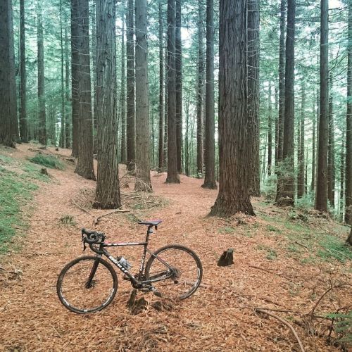 crossgram: And one last blast for “fun” on the cx bike before cross & mtb races every weekend fo