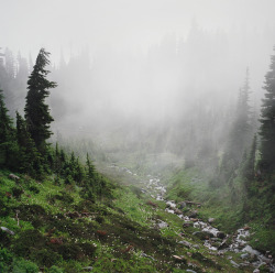 90377:   the mood at mt. rainier  by Danielle