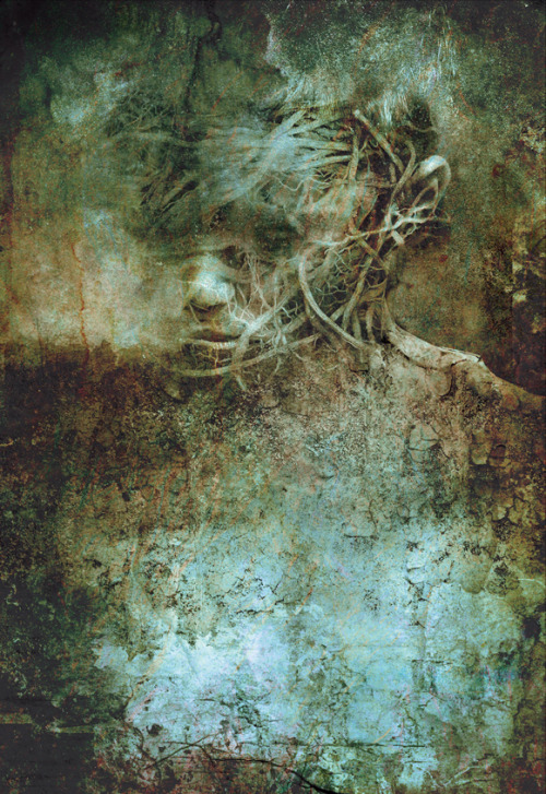 fer1972:  Jon Lezinsky