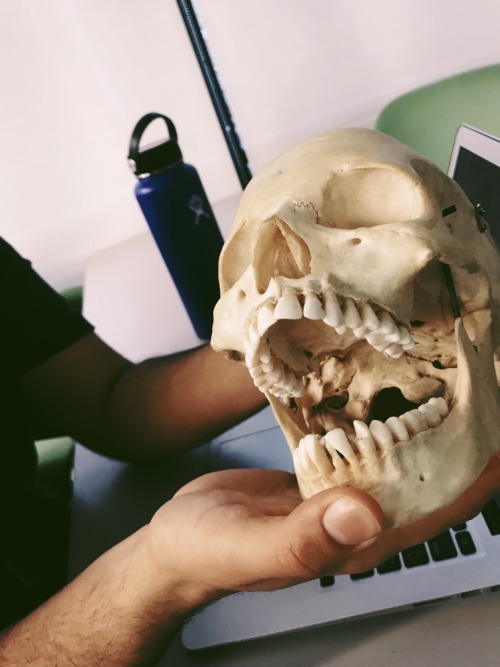 2.27.19 // An Update To Spring 2019: Forensic Anthropology Is By Far One Of My Favorite Classes Ive Taken.