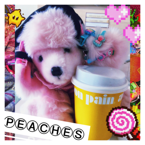 pewkazilla: Say hi to my new friend Peaches! I’ve been in hospital bed for seven days in Thailand re