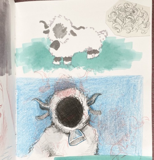 The Valais Blacknose Sheep Is Very Cute!