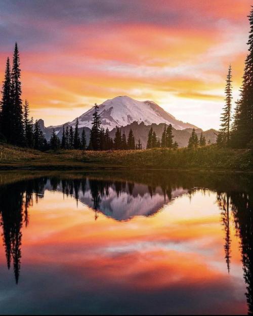 amazinglybeautifulphotography: Mount Rainier National Park,WA,USA [1242*1553] OC - Author: Difficult