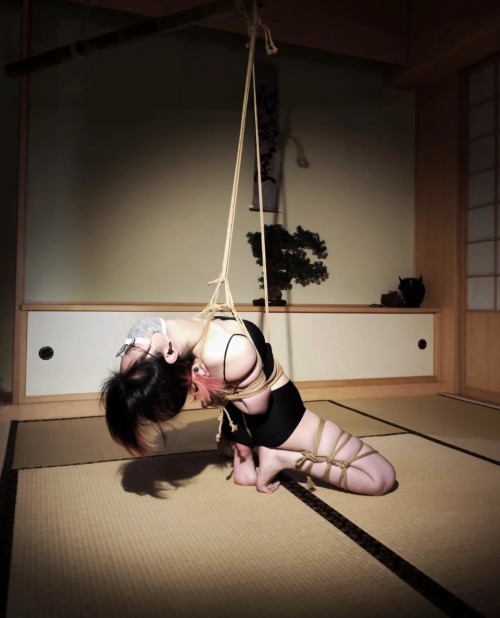 tied-asians: