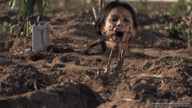 awesomebp:  doggers002:  sissyabusedreams:  stupiduselesscunt: LOL….what a pathetic