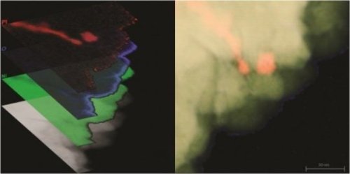 materialsscienceandengineering: One step closer to reality: Devices that convert heat into electrici