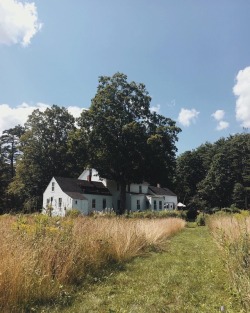 oldfarmhouse:  #forrestbound @instagram