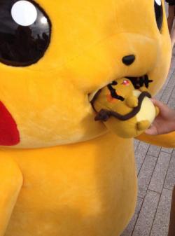 pokemon-global-academy:  Feed him! 