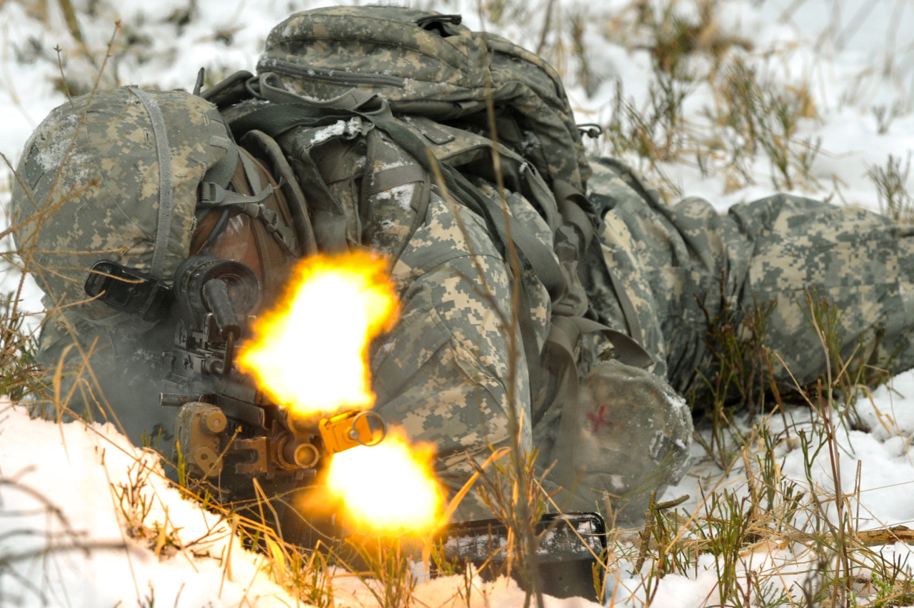 nemoi:  2nd Cavalry Regiment squad level training [Image 5 of 10] (via DVIDSHUB)