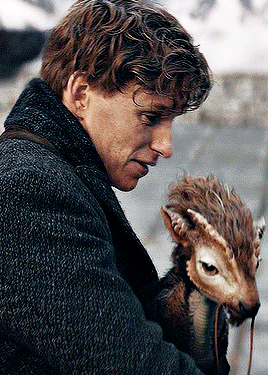 EDDIE REDMAYNE As NEWT SCAMANDER FANTASTIC BEASTS: THE SECRETS OF DUMBLEDORE 2022 | Dir. David Yates