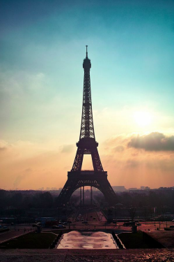 ilaurens:  Eiffel Tower - By: (Shin Jongkyu)