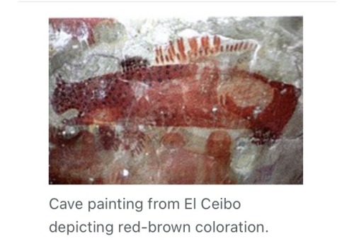 Getting Emotional Over This Painting Of P. Onca Mesembrina. Someone, Sometime, Perceived This Gigantic