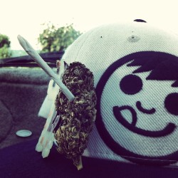 Stoney thoughts 🍁 #weedsmokingweed #nug #justbecause #stoney #loveit #session #marijuana #gethigh #whocares #fuckbitches #smoke #ganja #mini #joint @terracovington (at ☁☁☁☁☁☁☁☁☁☁)