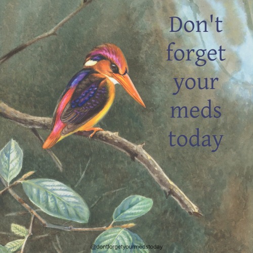 dontforgetyourmedstoday