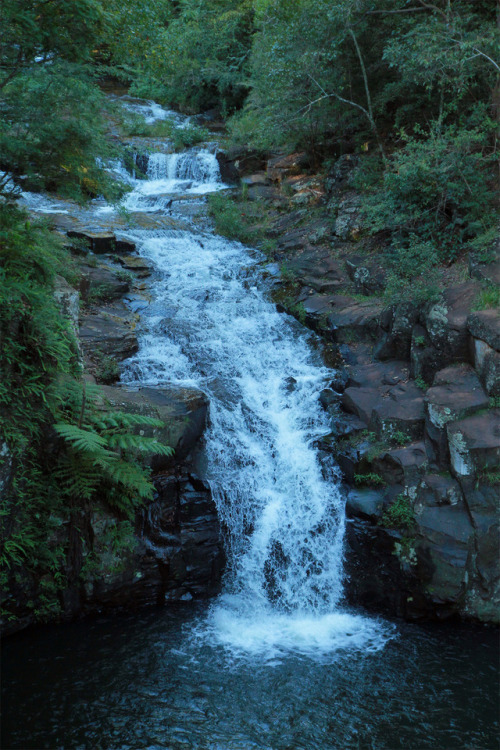 Dalwood Falls, NSW, Australia