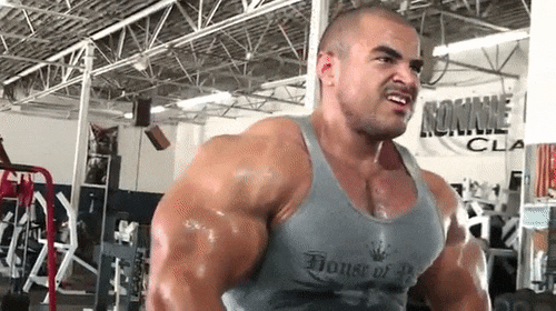 mesomorphs: talesofthealpha:  I’d try not to be such a massive, macho, muscle god, but I got so much test pumping through my veins it’s impossible to be anything else.   Mesomorph living bara 