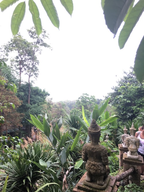 Through the humid haze And jungle trail, a vista Is blotted by sun.