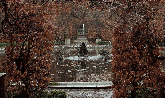 tumblr_py96d43v3B1qdhps7o2_540.gif