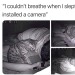 cat-memes-only:If this is how I die, I’ll be totally okay with it