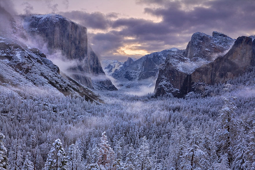 odditiesoflife:  Winter Wonderland Winter can be as beautiful as it is frigid –