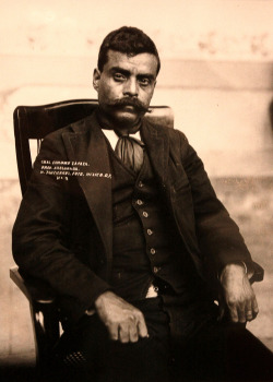 culturamexica:  Si quieres ser ave, vuela, si quieres ser gusano, arrástrate, pero no grites cuando te aplasten.- Emiliano Zapata Salazar.   If you want to be a bird, fly. If you want to be a worm, crawl, but do not wail when you are crushed.  Dont