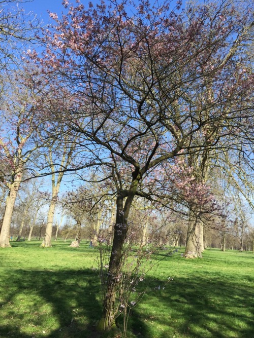 Kensington Gardens
