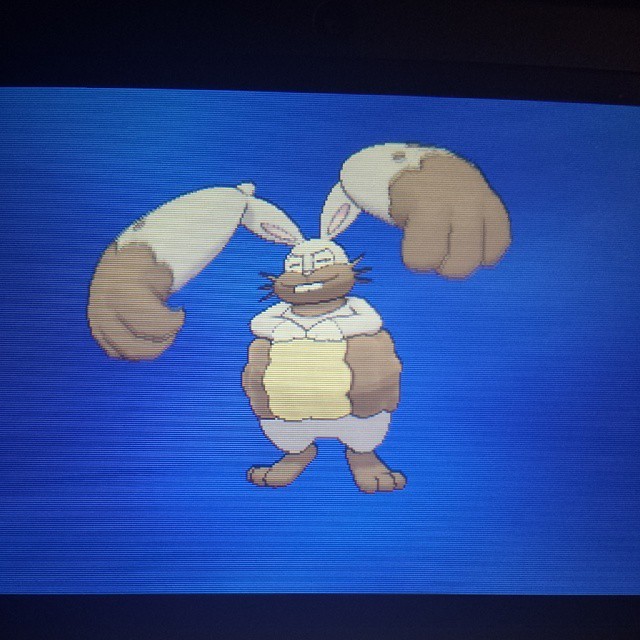 I&rsquo;m also a fat bunny #pokemon