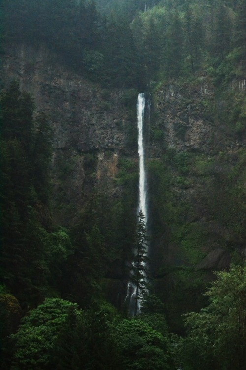 impairings: We didn’t have time to stop but I took this through the car window (Multnomah Fall