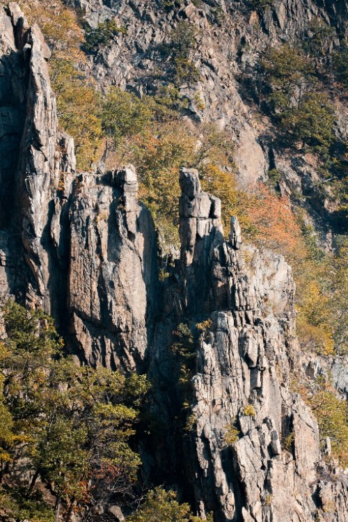 Das Bodetal zwischen Treseburg und Thale gehört für mich definitiv zu den Highlights im Ha