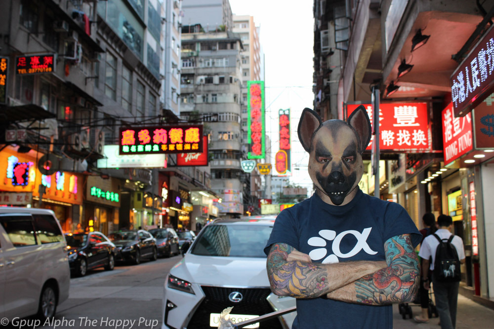 Gpup Alpha and Pup Boss of Sirius Pup Australia enjoying Hong Kong after our recent