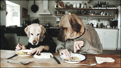 a-most-patient-wolf:Table Manners