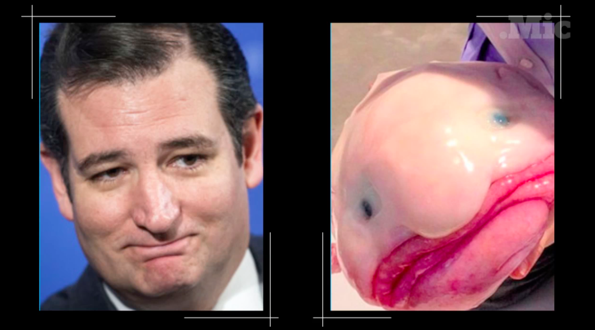 micdotcom:  So many lookalikes. Only one Ted Cruz.