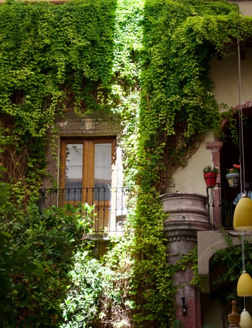 Lights, nature and architecture. San Miguel de Allende, MexicoPhoto: Jadiel Galicia