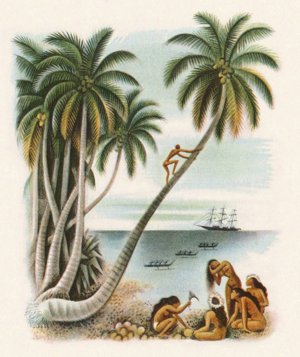 Illustration by Miguel Covarrubias, from Typee: A Romance of the South Seas, by