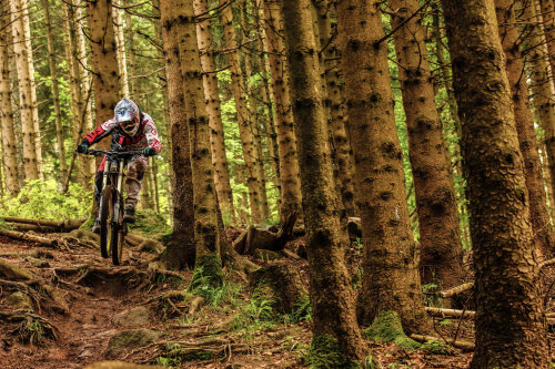 einerundesache: La Roots, Bikepark Lac Blanc, France. Pic by Silas U.