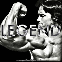 someonegetmeouttahere:  ARNOLD SCHWARZENEGGER