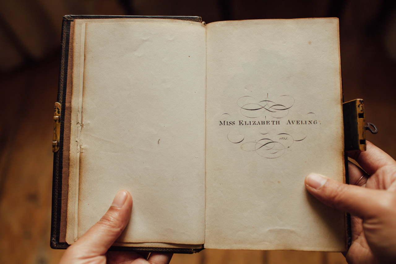 extracelestial:  a few pages from the 19th century diary of miss elizabeth aveling.