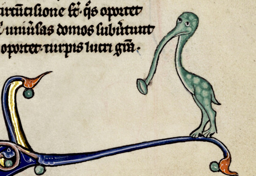 johannesviii: historyisntboring: Small green monster with a trumpet beak, in the margins of an illum