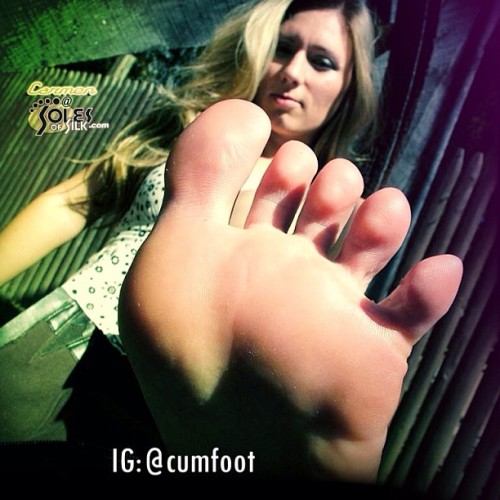 cumxxx:  Sexy feet from Soles of Silk.  #Foot #Feet #FootFetish #FeetFetish #FootPorn #PrettyFeet #B