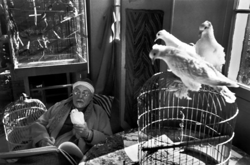 not-rad-line:French painter Henri MATISSE at his home, villa “Le Rêve” - Henri Cartier-Bresson (1944