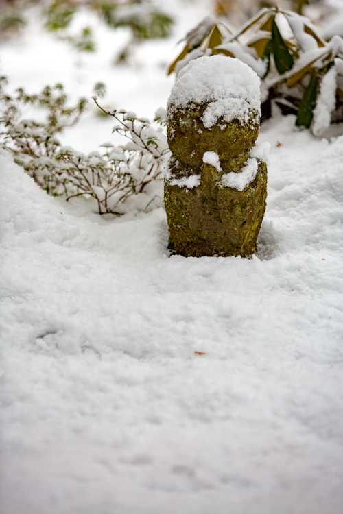 Snow viewing in Japanese temples (shown here are Kyoto Hosenin, Jikkoin and Sanzenin, captured by Pr