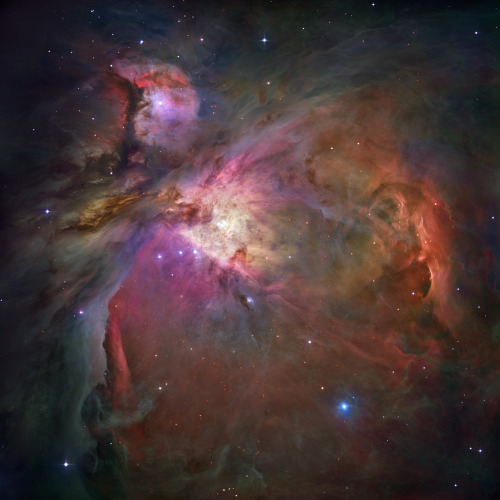 just–space:  Hubbles Sharpest View of the Orion Nebula  js 