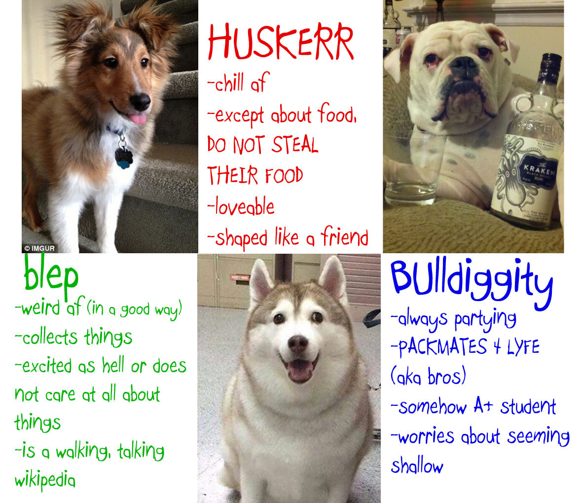 doctornsara: TAG YOURSELF: Doggo edition I made a thing for my other blog @good-dog-girls ‘s
