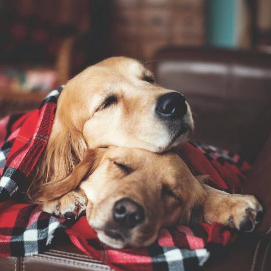 A story of love and adventures.