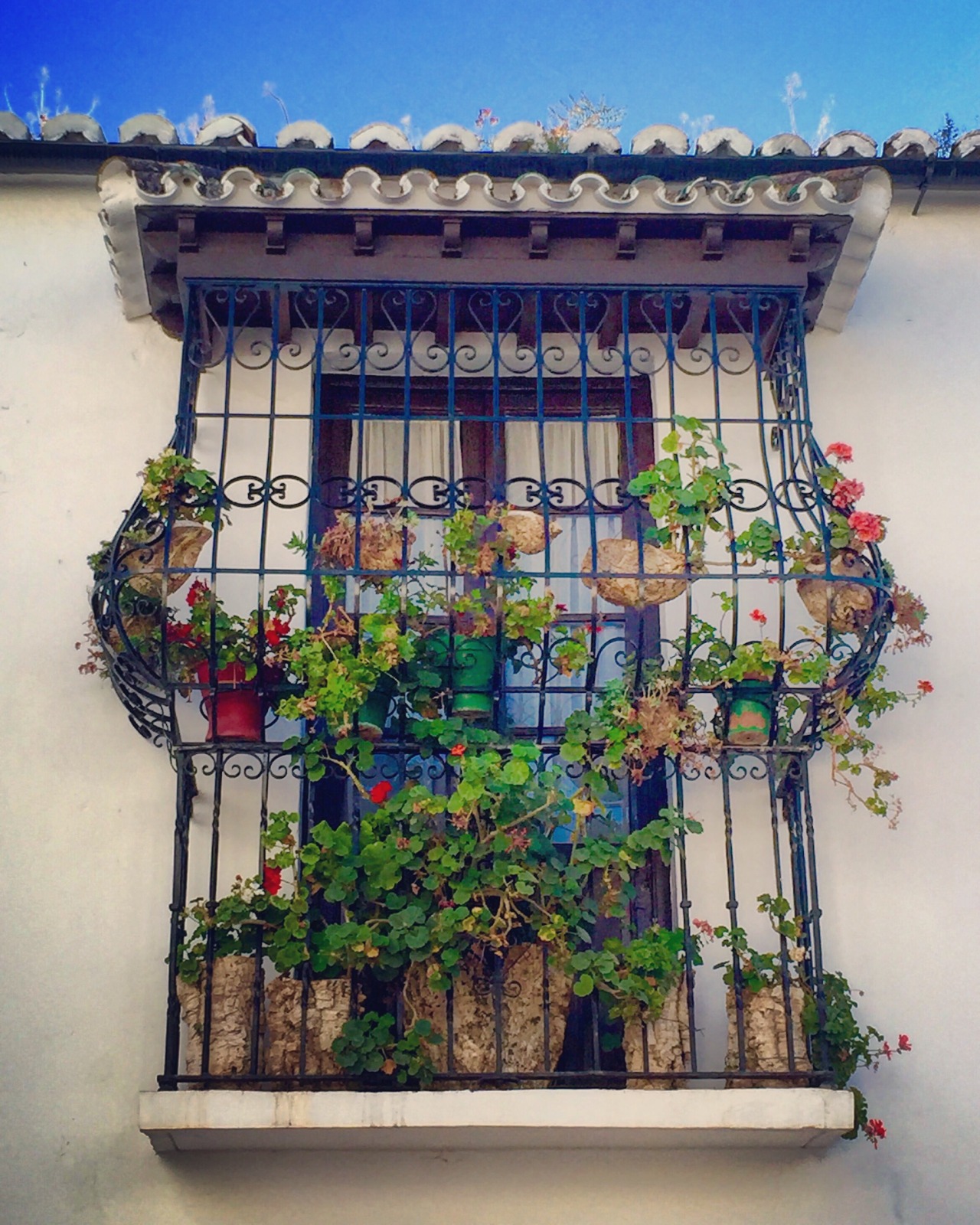 travelingcolors:  Balconies of Ronda | Spain (by Nacho Coca)Follow me on Instagram