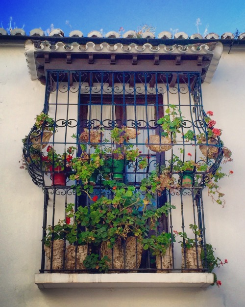 travelingcolors:  Balconies of Ronda | Spain (by Nacho Coca)Follow me on Instagram